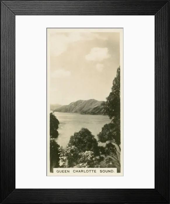 Framed Print : New Zealand - Queen Charlotte Sound Framed Print : New Zealand - Queen Charlotte Sound