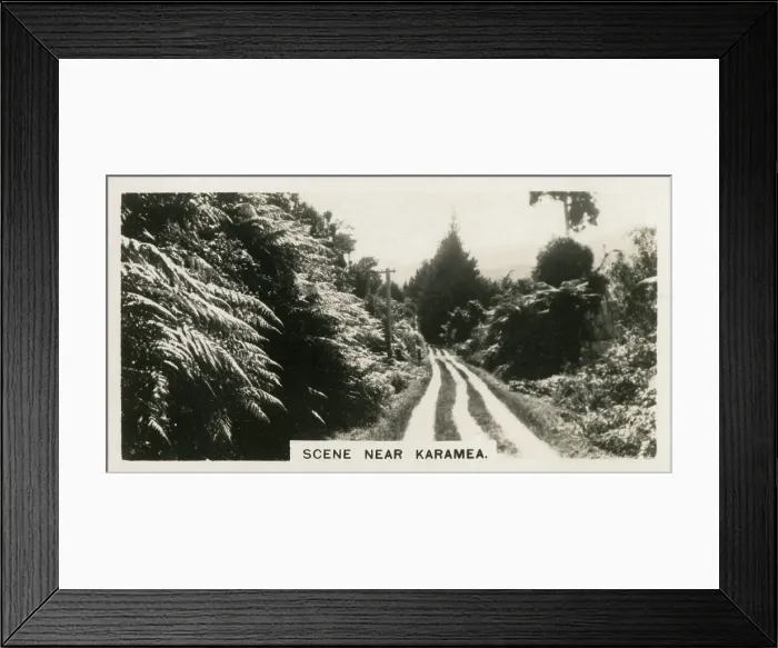 Framed Print : New Zealand - Scene near Karamea Framed Print : New Zealand - Scene near Karamea