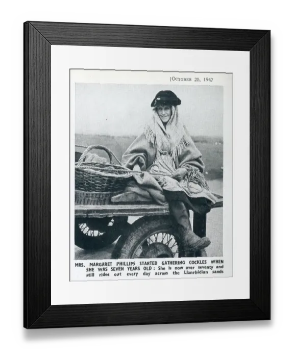 Framed Print : The Cockle Women of Gower: An Ancient Industry on the Llanrhidian Sands, South Wales