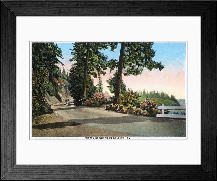 Framed Print : Road near Bellingham, Washington, USA Date: 1929 Framed Print : Road near Bellingham, Washington, USA Date: 1929