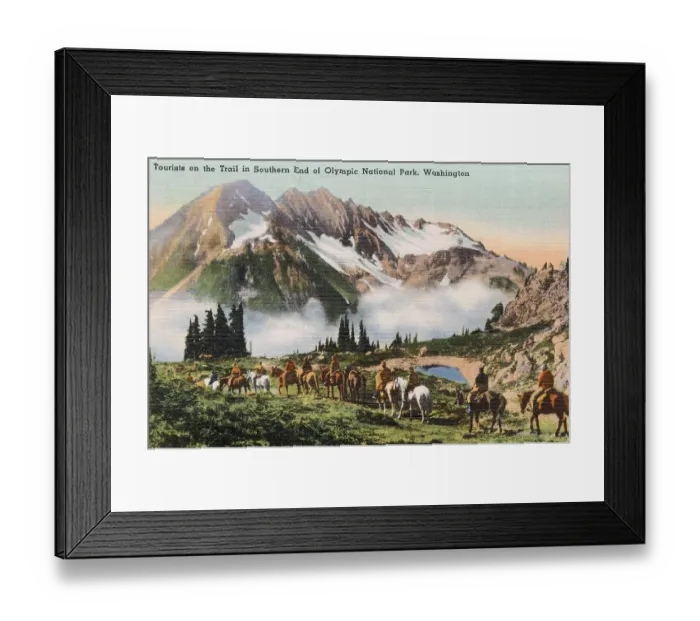 Framed Print : Olympic National Park (southern end), Washington State, USA - tourists on the trail on horseback Date: circa 1940 Framed Print : Olympic National Park (southern end), Washington State, USA - tourists on the trail on horseback Date: circa 1940