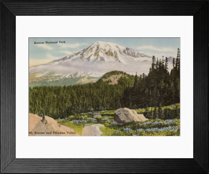 Framed Print : Rainier National Park, Washington State, USA, with Mount Rainier and Paradise Valley Date: circa 1940 Framed Print : Rainier National Park, Washington State, USA, with Mount Rainier and Paradise Valley Date: circa 1940