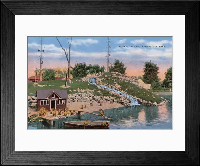 Framed Print : Monkey Island, Washington Park, Milwaukee, Wisconsin, USA Date: circa 1940 Framed Print : Monkey Island, Washington Park, Milwaukee, Wisconsin, USA Date: circa 1940