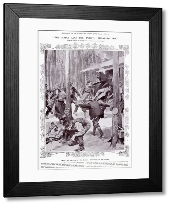 Framed Print : Frederic De Haenen, The Maple Leaf for ever':'Sugaring off'. Great Dominion: Canada Date: 1912 Framed Print : Frederic De Haenen, The Maple Leaf for ever':'Sugaring off'. Great Dominion: Canada Date: 1912