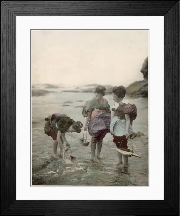 Framed Print : Japanese women picking shellfish at low tide Date: circa 1890s Framed Print : Japanese women picking shellfish at low tide Date: circa 1890s