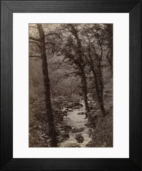 Framed Print : Torrent Walk, Dolgellau, North Wales Date: circa 1889 Framed Print : Torrent Walk, Dolgellau, North Wales Date: circa 1889