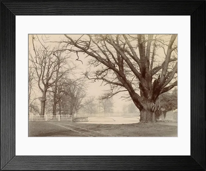 Framed Print : Woolfe family of The Clough, Hale, Bucklow, Cheshire Framed Print : Woolfe family of The Clough, Hale, Bucklow, Cheshire