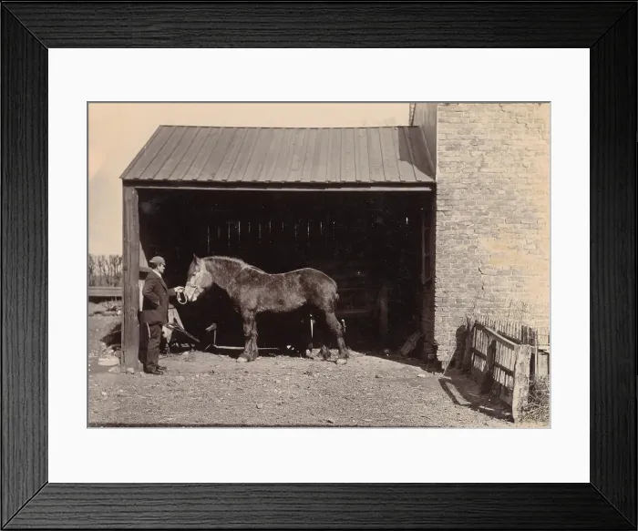 Framed Print : Woolfe family of The Clough, Hale, Bucklow, Cheshire - Joe Falkner with horse. Date: 1889 Framed Print : Woolfe family of The Clough, Hale, Bucklow, Cheshire - Joe Falkner with horse. Date: 1889