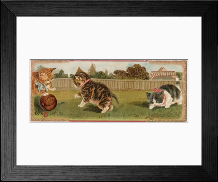 Framed Print : Christmas card, Three cats playing football - Be sure to score. Date: circa 1900s Framed Print : Christmas card, Three cats playing football - Be sure to score. Date: circa 1900s