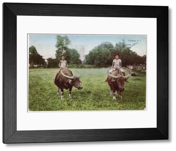 Framed Print : Boys riding carabaos, a type of water buffalo, in the Philippines Date: 1930s Framed Print : Boys riding carabaos, a type of water buffalo, in the Philippines Date: 1930s