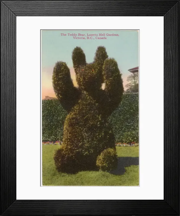 Framed Print : Teddy Bear topiary, Loretto Hall Gardens, Victoria, British Columbia, Canada Date: circa 1910s Framed Print : Teddy Bear topiary, Loretto Hall Gardens, Victoria, British Columbia, Canada Date: circa 1910s