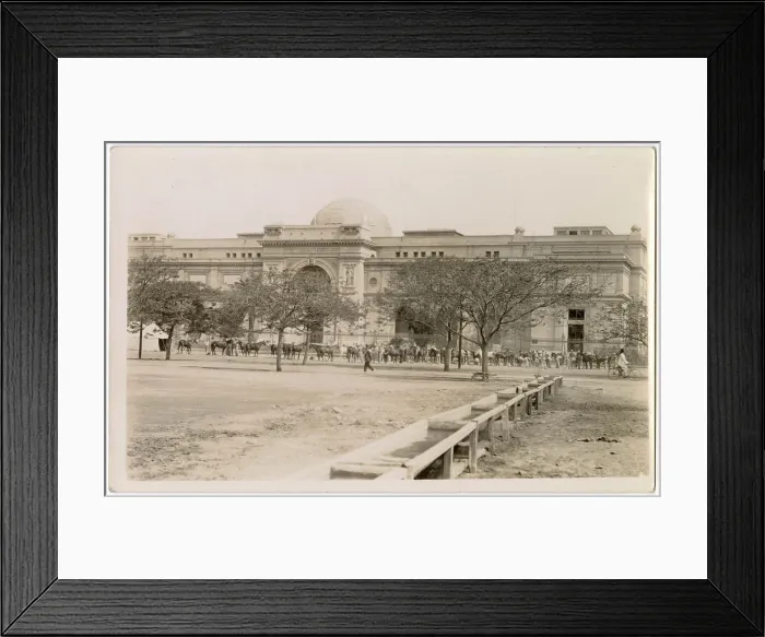 Framed Print : Egyptian Museum of Antiquities, Cairo, Egypt, with soldiers and horses outside. Date: circa 1910s Framed Print : Egyptian Museum of Antiquities, Cairo, Egypt, with soldiers and horses outside. Date: circa 1910s