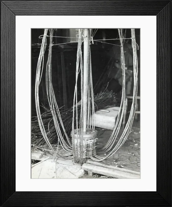 Framed Print : Local withies (willow branches) for making crab or lobster pots, Beesands, Start Bay, Devon Date: 1960 Framed Print : Local withies (willow branches) for making crab or lobster pots, Beesands, Start Bay, Devon Date: 1960