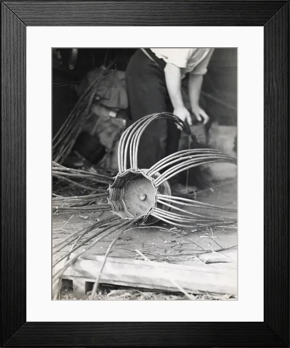 Framed Print : A man using withies (willow branches) to make a lobster or crab pot at Beesands, Start Bay, Devon. Date: 1960 Framed Print : A man using withies (willow branches) to make a lobster or crab pot at Beesands, Start Bay, Devon. Date: 1960