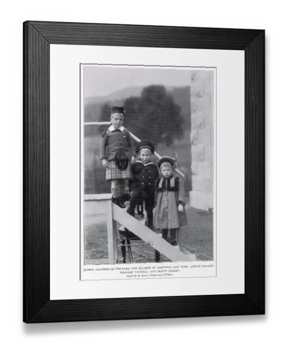 Framed Print : Prince Edward (Edward VIII - Duke of Windsor), Prince Albert (later George VI) and Princess Victoria later (Mary, Princess Royal and Countess of Harewood). Date: 1901 Framed Print : Prince Edward (Edward VIII - Duke of Windsor), Prince Albert (later George VI) and Princess Victoria later (Mary, Princess Royal and Countess of Harewood). Date: 1901