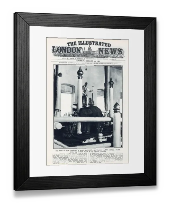 Framed Print : Front cover of The Illustrated London News showing the King of Siam purifying a white elephant. His Majesty is shown pouring lustral water over the sacred beast in its special pavilion. Date: 1928 Framed Print : Front cover of The Illustrated London News showing the King of Siam purifying a white elephant. His Majesty is shown pouring lustral water over the sacred beast in its special pavilion. Date: 1928