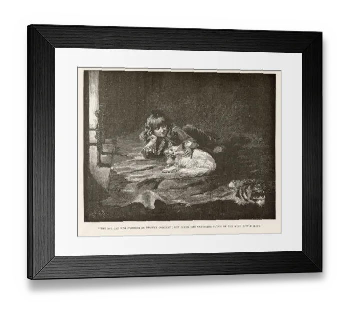 Framed Print : Illustration by Reginald Birch to Little Lord Fauntleroy by Frances Hodgson Burnett. The big cat was purring in drowsy content; she liked the caressing touch of the kind little hand. Date: 1886 Framed Print : Illustration by Reginald Birch to Little Lord Fauntleroy by Frances Hodgson Burnett. The big cat was purring in drowsy content; she liked the caressing touch of the kind little hand. Date: 1886