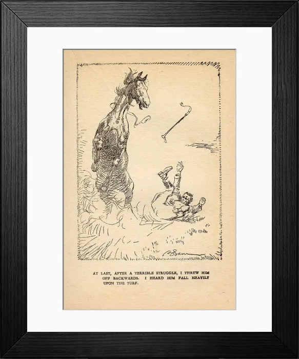Framed Print : Black Beauty Framed Print : Black Beauty