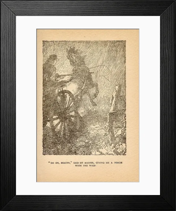 Framed Print : Black Beauty Framed Print : Black Beauty