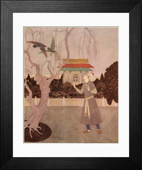 Framed Print : Prince Camaralzaman and the Birds Framed Print : Prince Camaralzaman and the Birds