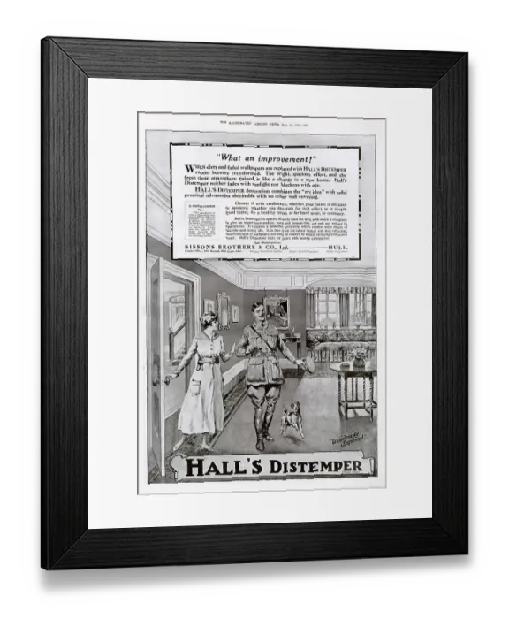 Framed Print : Advert for Hall's Distemper 1919 Framed Print : Advert for Hall's Distemper 1919