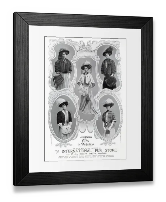 Framed Print : Advert for International Fur Store, women wearing a variety of styles of stole fur jackets. Date: 1907 Framed Print : Advert for International Fur Store, women wearing a variety of styles of stole fur jackets. Date: 1907