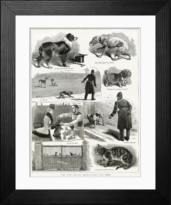 Framed Print : Police were enforcing the new regulations to muzzle dogs due to the rabies infection. Date: 1885 Framed Print : Police were enforcing the new regulations to muzzle dogs due to the rabies infection. Date: 1885