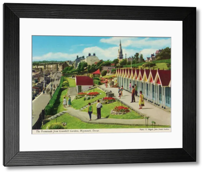 Framed Print : The Promenade from Greenhill Gardens, Weymouth, Dorset. Date: circa 1960s Framed Print : The Promenade from Greenhill Gardens, Weymouth, Dorset. Date: circa 1960s