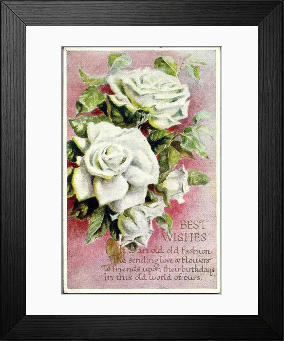 Framed Print : Birthday postcard, White roses, Best Wishes Date: early 20th century Framed Print : Birthday postcard, White roses, Best Wishes Date: early 20th century