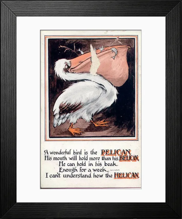 Framed Print : Comic postcard, The Pelican Date: early 20th century Framed Print : Comic postcard, The Pelican Date: early 20th century