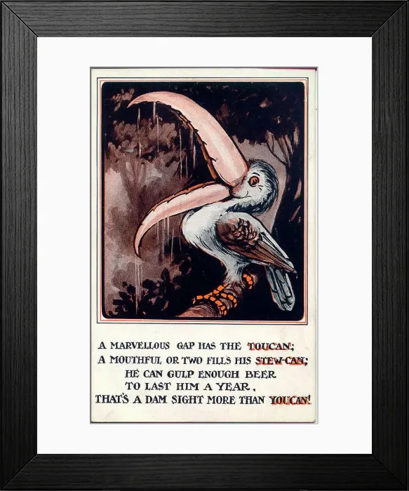 Framed Print : Comic postcard, The Toucan Date: early 20th century Framed Print : Comic postcard, The Toucan Date: early 20th century