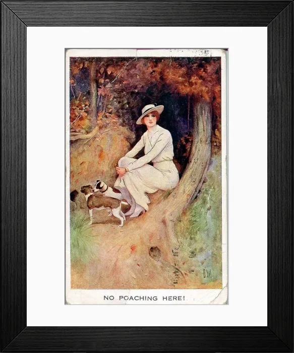 Framed Print : Postcard, Woman with two dogs sitting by a tree - No poaching here! Date: early 20th century Framed Print : Postcard, Woman with two dogs sitting by a tree - No poaching here! Date: early 20th century