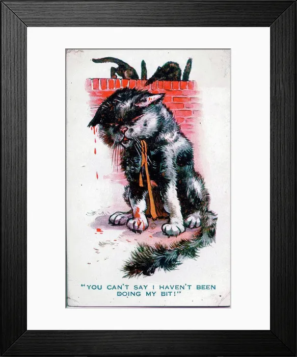 Framed Print : Comic postcard, Black cat fighter - You can't say I haven't been doing my bit! Date: 1914-1918 Framed Print : Comic postcard, Black cat fighter - You can't say I haven't been doing my bit! Date: 1914-1918