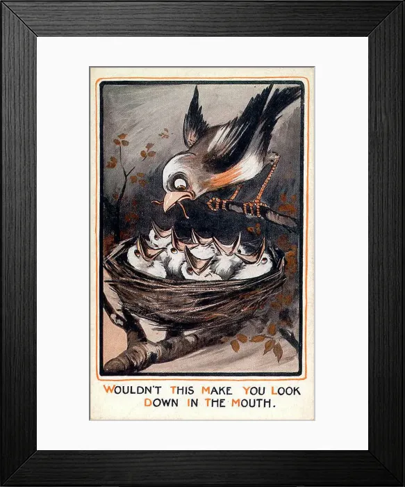 Framed Print : Comic postcard, Bird brings worm to hungry chicks in the nest Date: early 20th century Framed Print : Comic postcard, Bird brings worm to hungry chicks in the nest Date: early 20th century