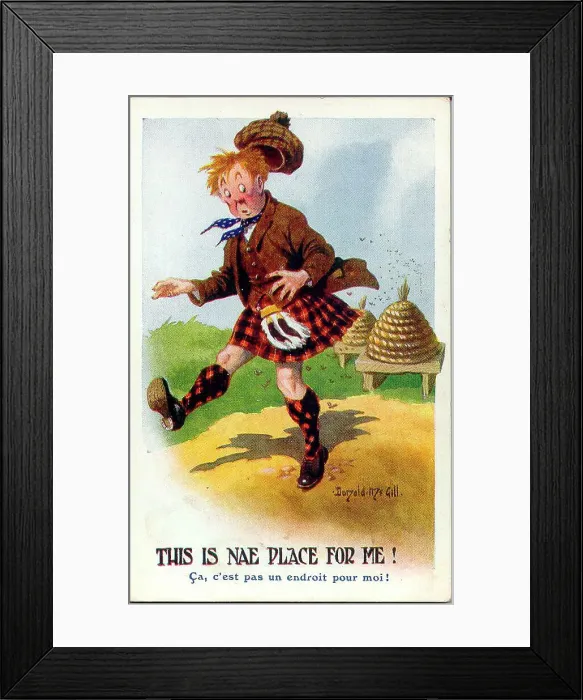 Framed Print : Comic postcard, Scotsman and beehives Date: early 20th century Framed Print : Comic postcard, Scotsman and beehives Date: early 20th century