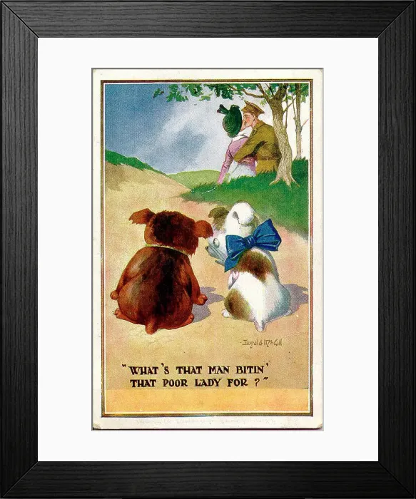Framed Print : Comic postcard, Woman and soldier kissing, watched by two dogs. Date: 1914-1918 Framed Print : Comic postcard, Woman and soldier kissing, watched by two dogs. Date: 1914-1918