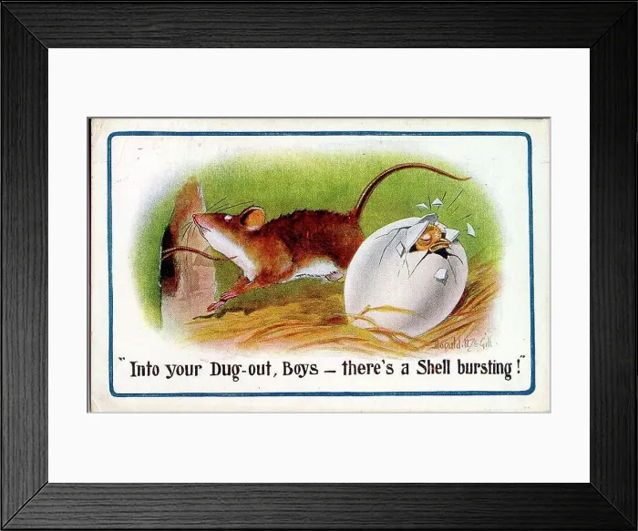 Framed Print : Comic postcard, Rat with hatching egg - shell bursting. Date: 1914-1918 Framed Print : Comic postcard, Rat with hatching egg - shell bursting. Date: 1914-1918