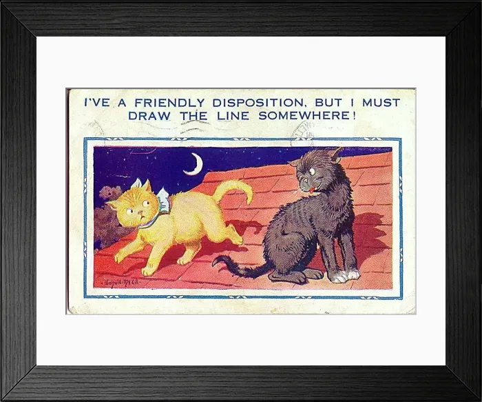 : Comic postcard, Two cats on a roof at night Date: 20th century : Comic postcard, Two cats on a roof at night Date: 20th century