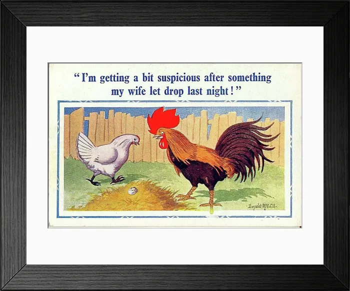 : Comic postcard, cockerel and hen with egg Date: 20th century : Comic postcard, cockerel and hen with egg Date: 20th century