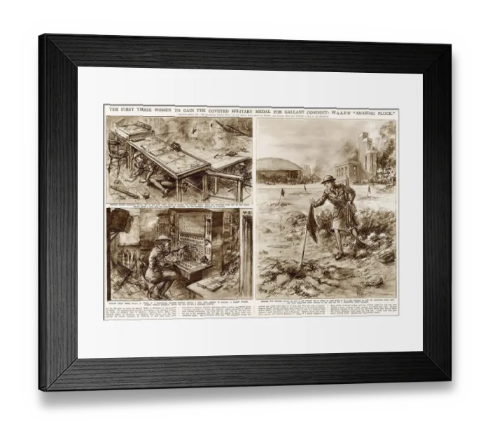 Framed Print : Spread from The Illustrated London News with sketches by Bryan de Grineau showing scenes of heroism by the first three women, all members of the W.A.A.F who were awarded the Military Medal - Sergeant Joan Mortimer Framed Print : Spread from The Illustrated London News with sketches by Bryan de Grineau showing scenes of heroism by the first three women, all members of the W.A.A.F who were awarded the Military Medal - Sergeant Joan Mortimer