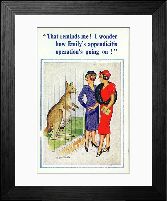 : Comic postcard, Two women at the zoo see kangaroo Date: 20th century : Comic postcard, Two women at the zoo see kangaroo Date: 20th century