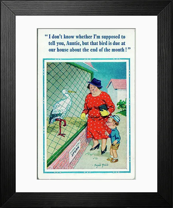 : Comic postcard, Little boy and aunt at the zoo - stork Date: 20th century : Comic postcard, Little boy and aunt at the zoo - stork Date: 20th century