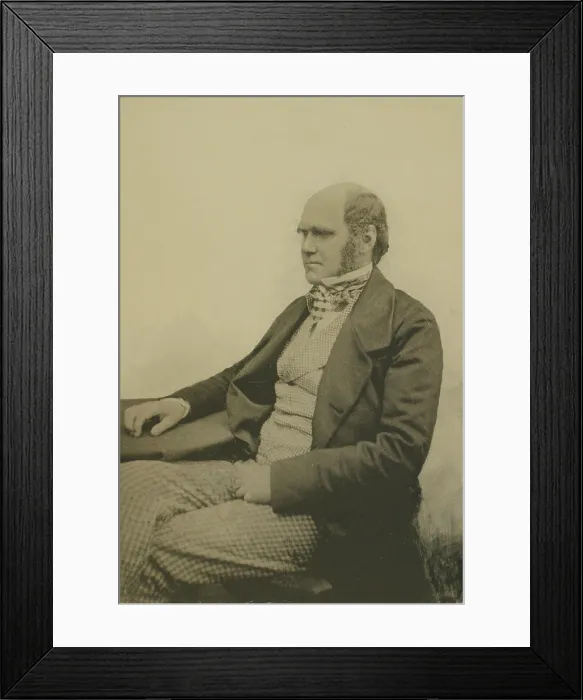 Framed Print : Portrait of Charles Darwin (1809-1882) Framed Print : Portrait of Charles Darwin (1809-1882)
