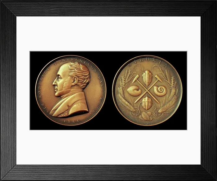 Framed Print : Murchison Medal of the Geological Society Framed Print : Murchison Medal of the Geological Society
