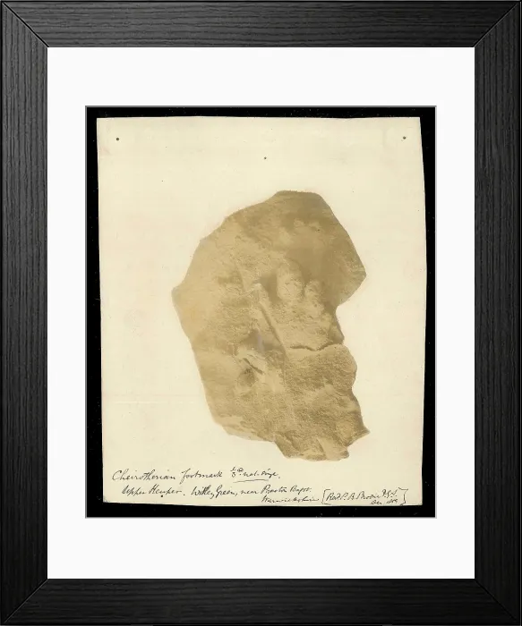 Framed Print : Footprint of a Chierotherium Framed Print : Footprint of a Chierotherium