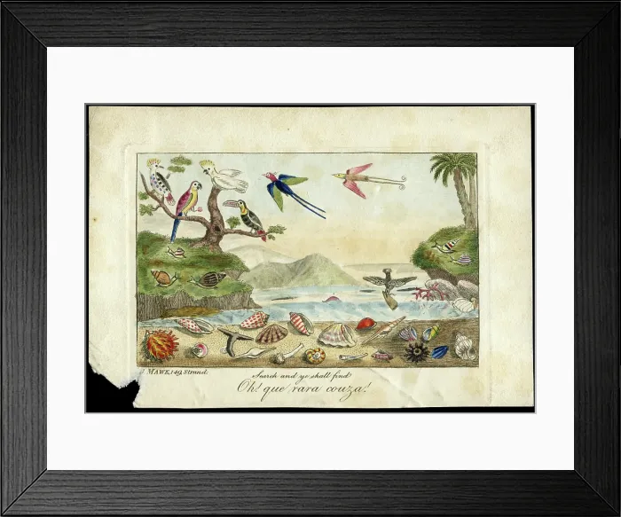 Framed Print : Oh! que rara couza! Framed Print : Oh! que rara couza!