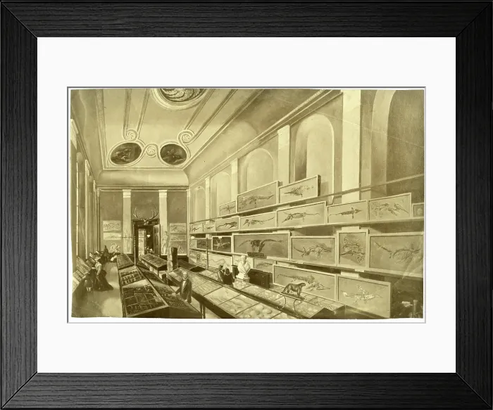 Framed Print : Charles Moore's Free Museum in Bath Framed Print : Charles Moore's Free Museum in Bath