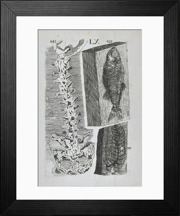 Framed Print : Homo diluvii testis Framed Print : Homo diluvii testis