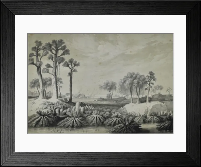 Framed Print : Ubergangsformation Framed Print : Ubergangsformation