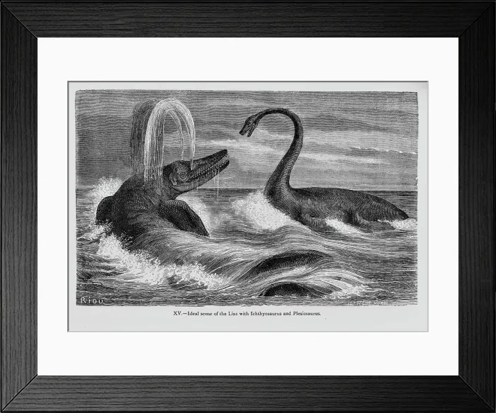 Framed Print : Ideal scene of the Lias with Ichthyosaurus and Plesiosaurus Framed Print : Ideal scene of the Lias with Ichthyosaurus and Plesiosaurus